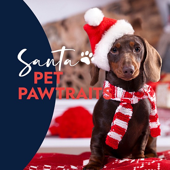 Ballina Fair Pet Pawtraits with Santa 2024